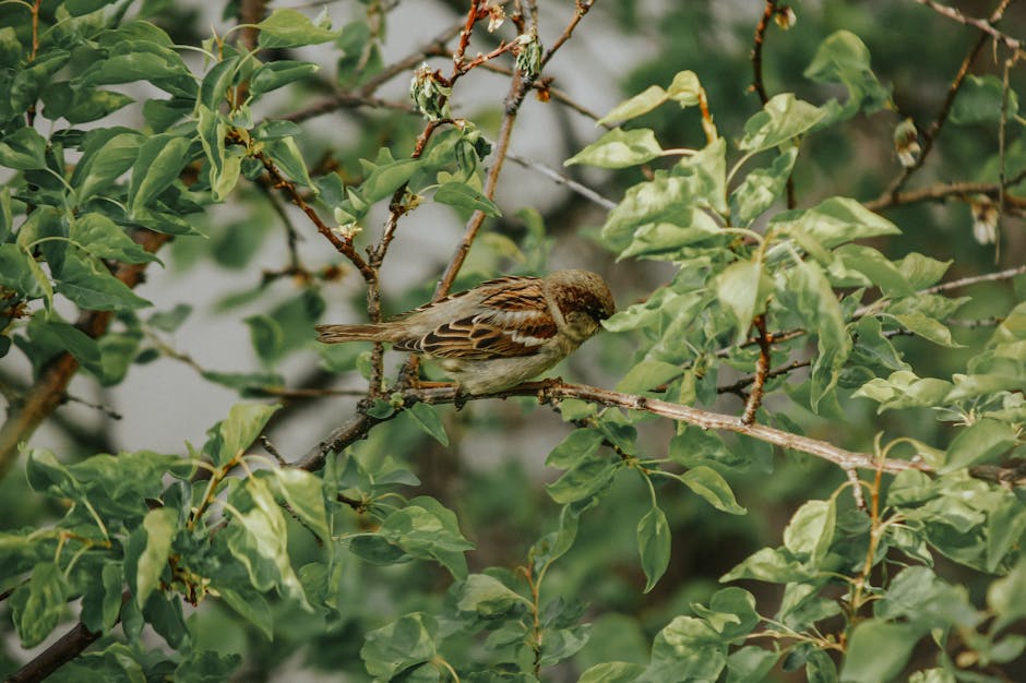 The Anatomy of a Leak: Decoding Renders and Rumors in the World of Android Phones