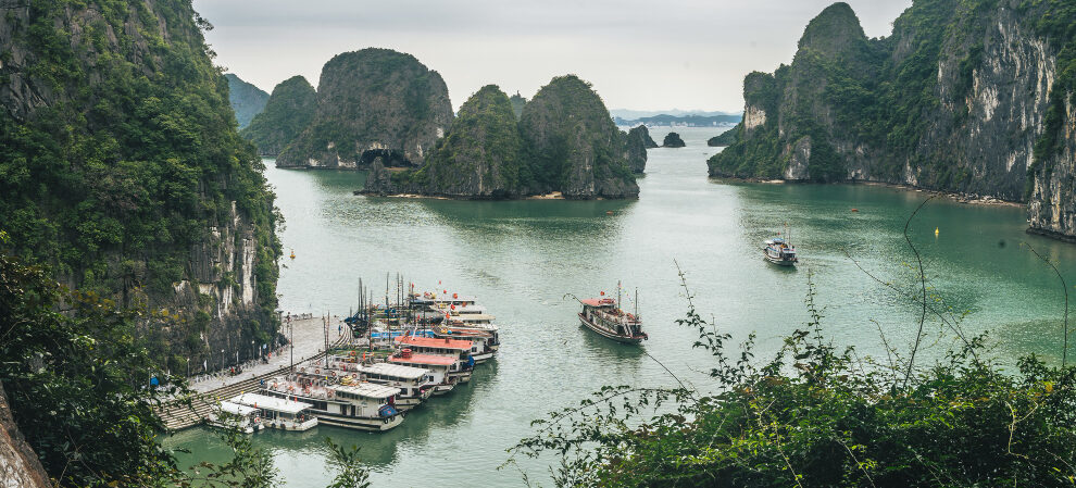 The Android Phoenix: How Legacy Brands Are Redefining the Smartphone Market