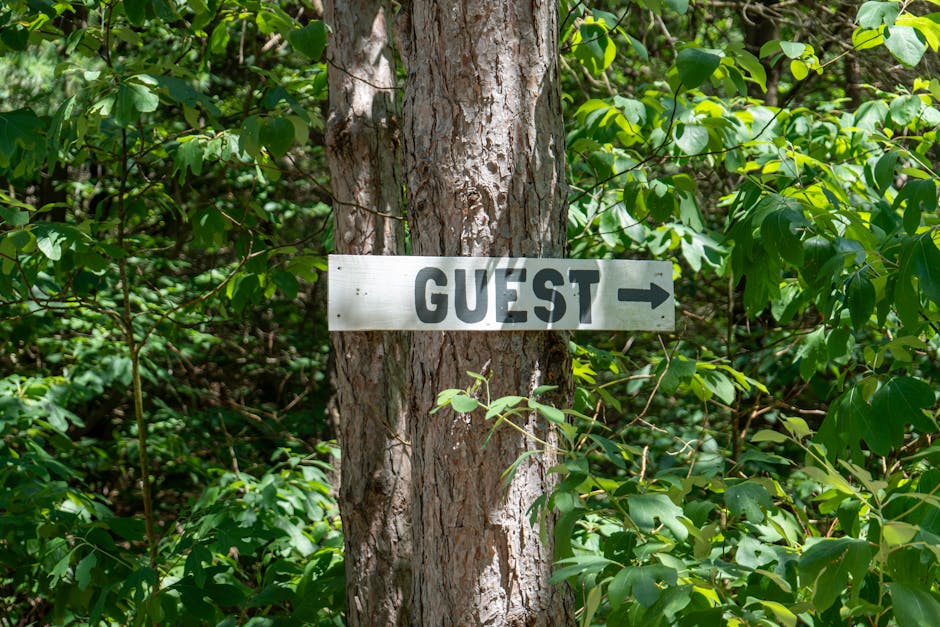 The Ultimate Guide to the Android Ecosystem: Navigating News, Phones, and Gadgets