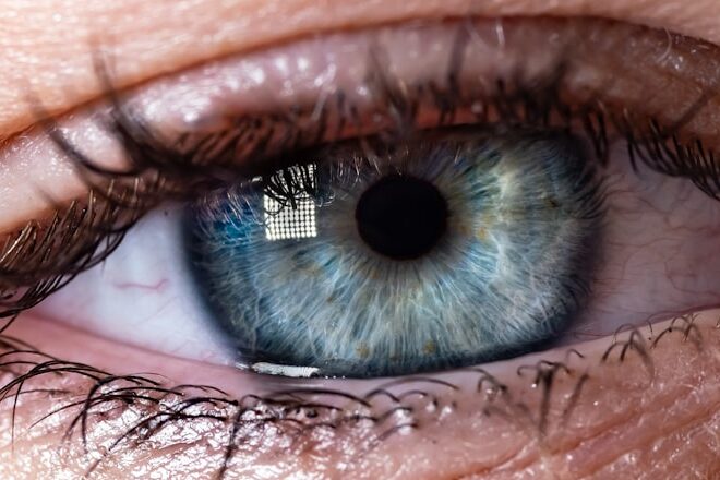 The Evolution of Biometric Security: Why 3D Face Recognition Remains the Holy Grail for Premium Android Phones