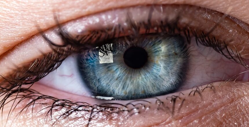 The Evolution of Biometric Security: Why 3D Face Recognition Remains the Holy Grail for Premium Android Phones