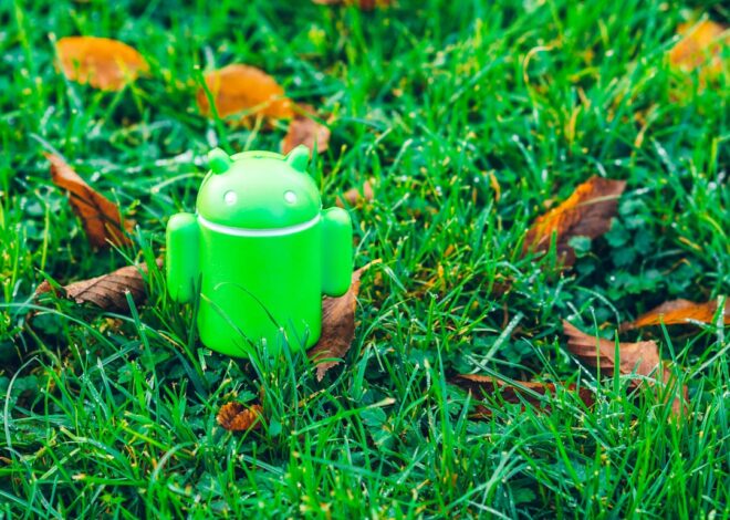 The Dual Identity of the Android Ecosystem: Flagship Innovation vs. Budget Dominance
