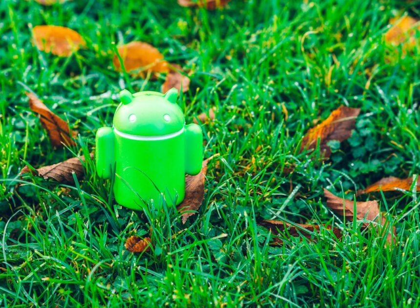 The Dual Identity of the Android Ecosystem: Flagship Innovation vs. Budget Dominance