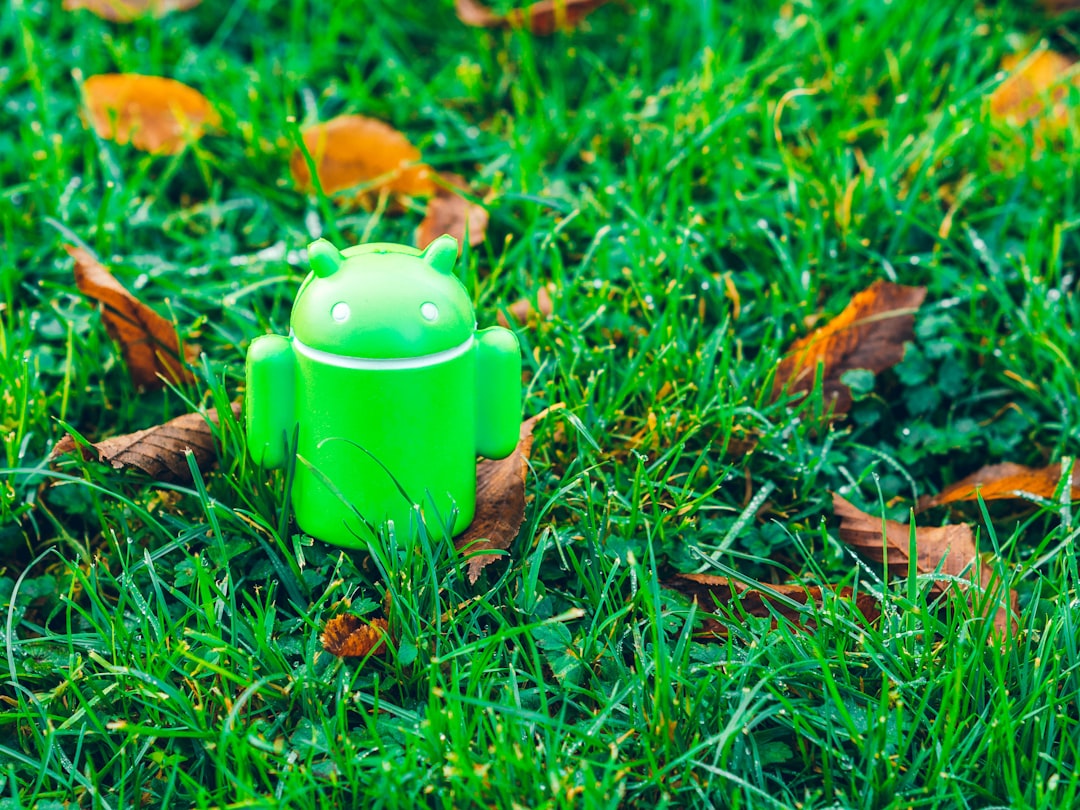 The Dual Identity of the Android Ecosystem: Flagship Innovation vs. Budget Dominance