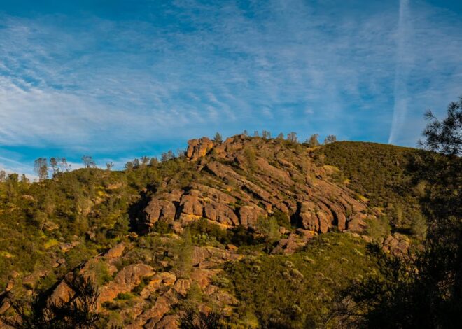 Local LLMs on Android: Benchmarking Qwen 3.5 Offline